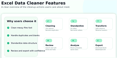 Excel data cleaner features overview with cleaning, standardization, review, analysis, and export actions